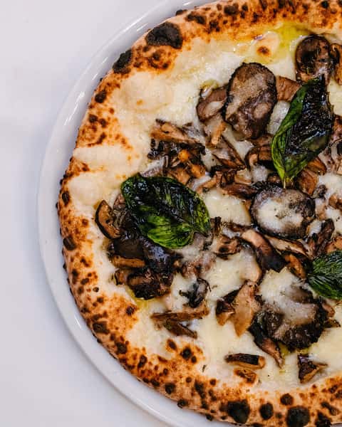 Tartufo E Funghi / Mushroom & Truffle Pizza